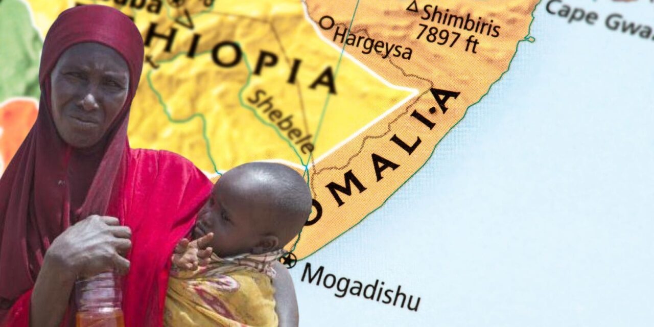 Sequía y migraciones: un panorama desolador en el Cuerno de África