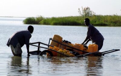TERRORISMO MEDIOAMBIENTAL: EL CASO DE BOKO HARAM