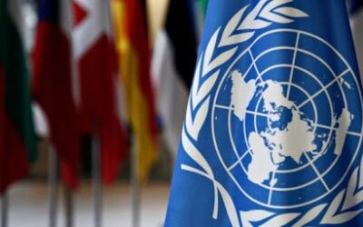 THE USE OF VIOLENCE IN CONFLICT MANAGEMENT